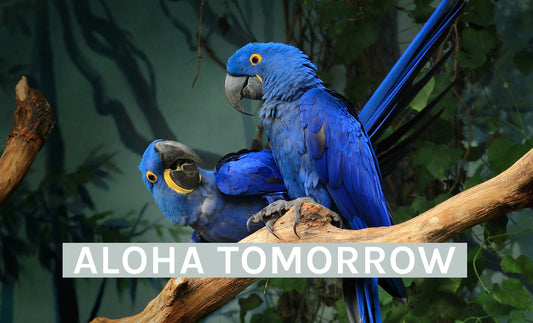 10 Ways to Save Endangered Animals - INT PURELEI