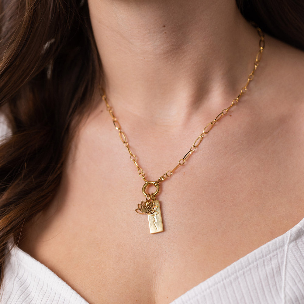 Charm Power