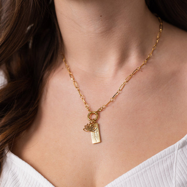 Charm Power