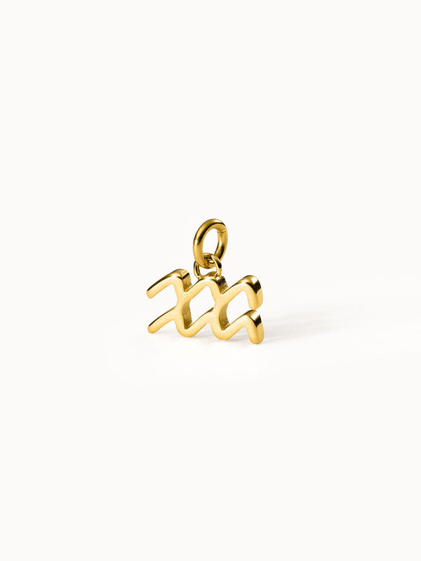 Aquarius Zodiac Charm