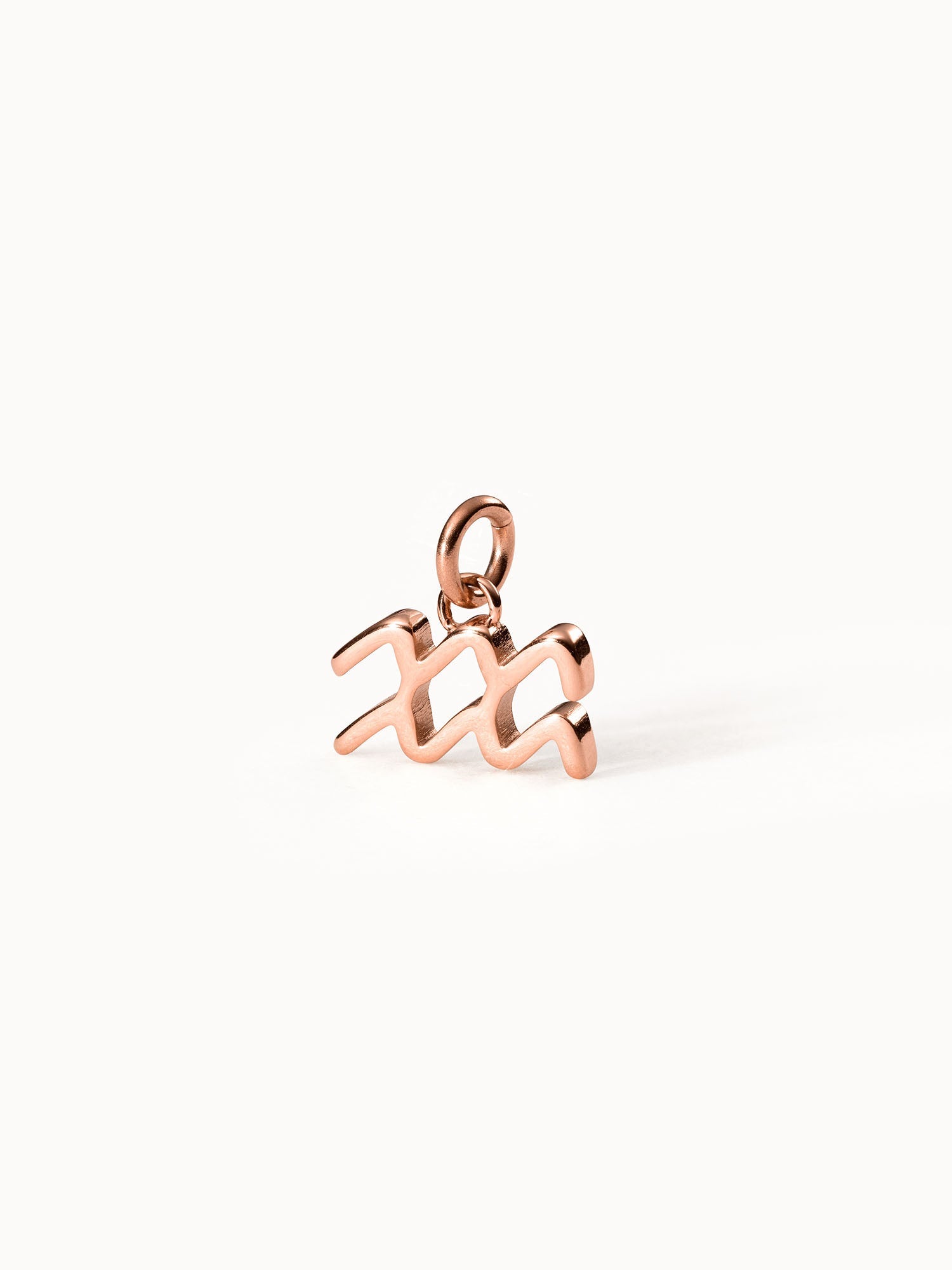 Aquarius Zodiac Charm