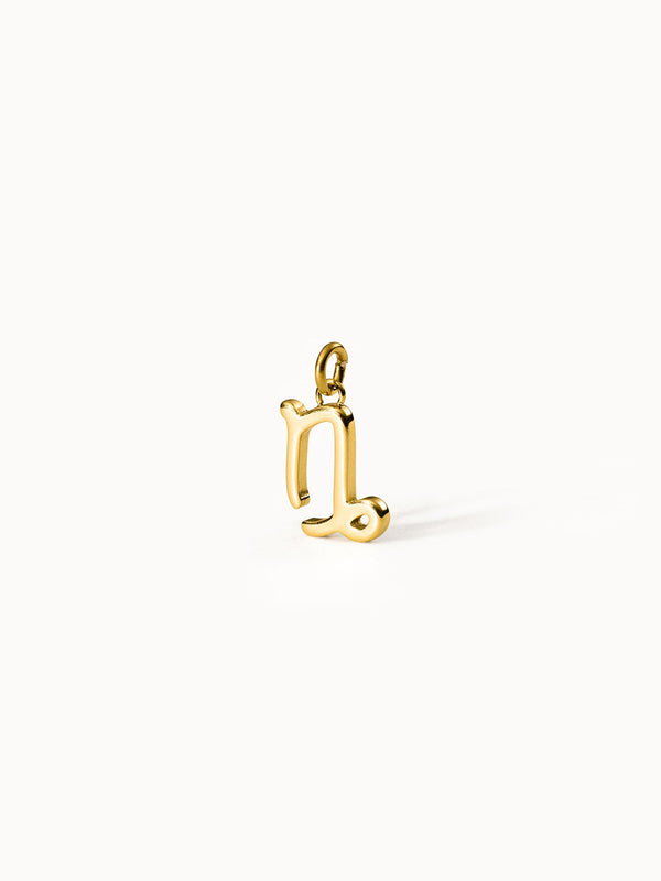 Capricorn Zodiac Charm
