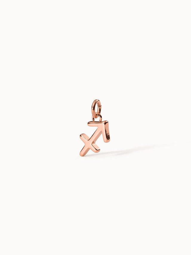 Charm Zodiac Sagittarius