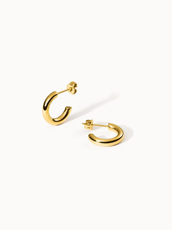 Brave Earring