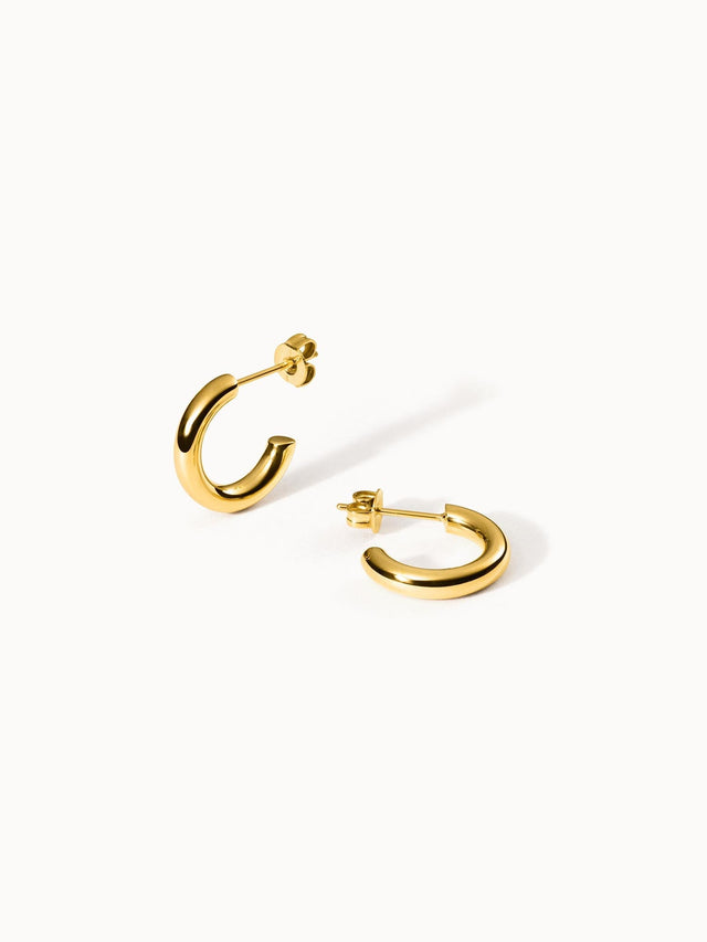Boucle d'Oreille Brave
