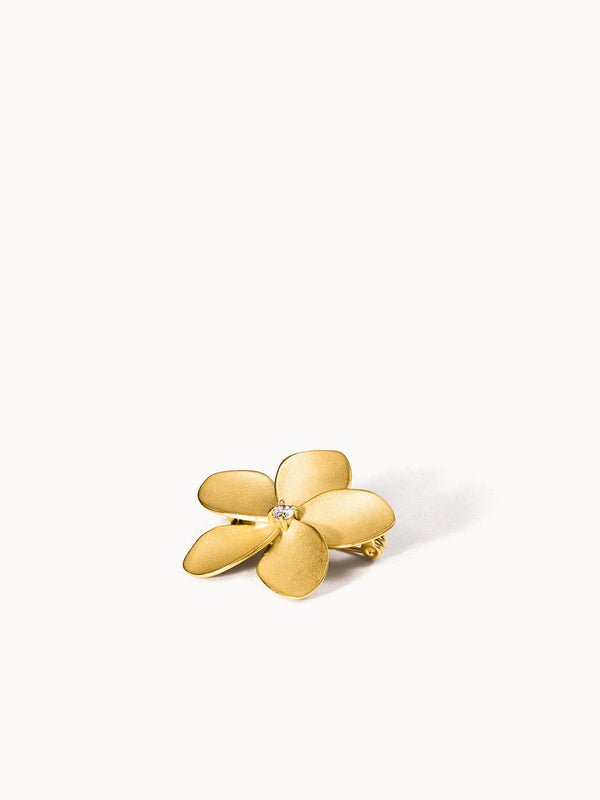 Broche Empowher