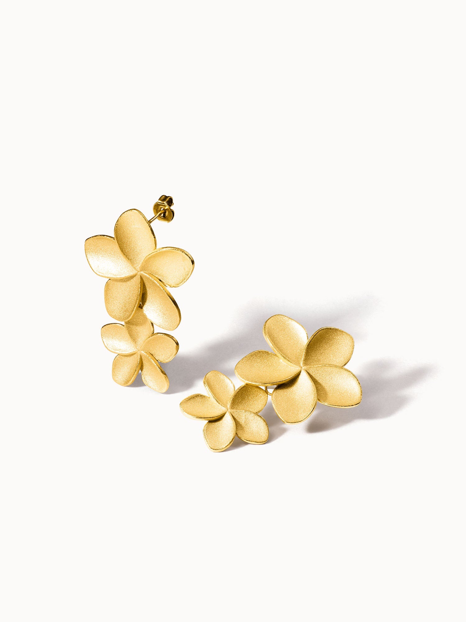 Boucles d'Oreilles Empowher