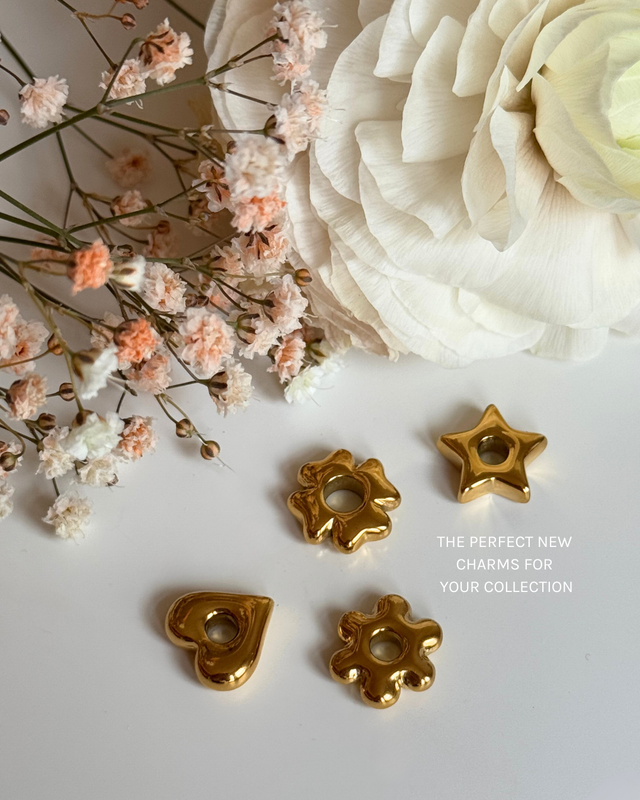 Collier Lucky Charm