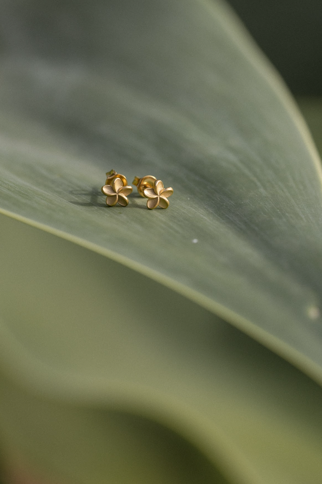Boucles d'Oreilles Empowerment