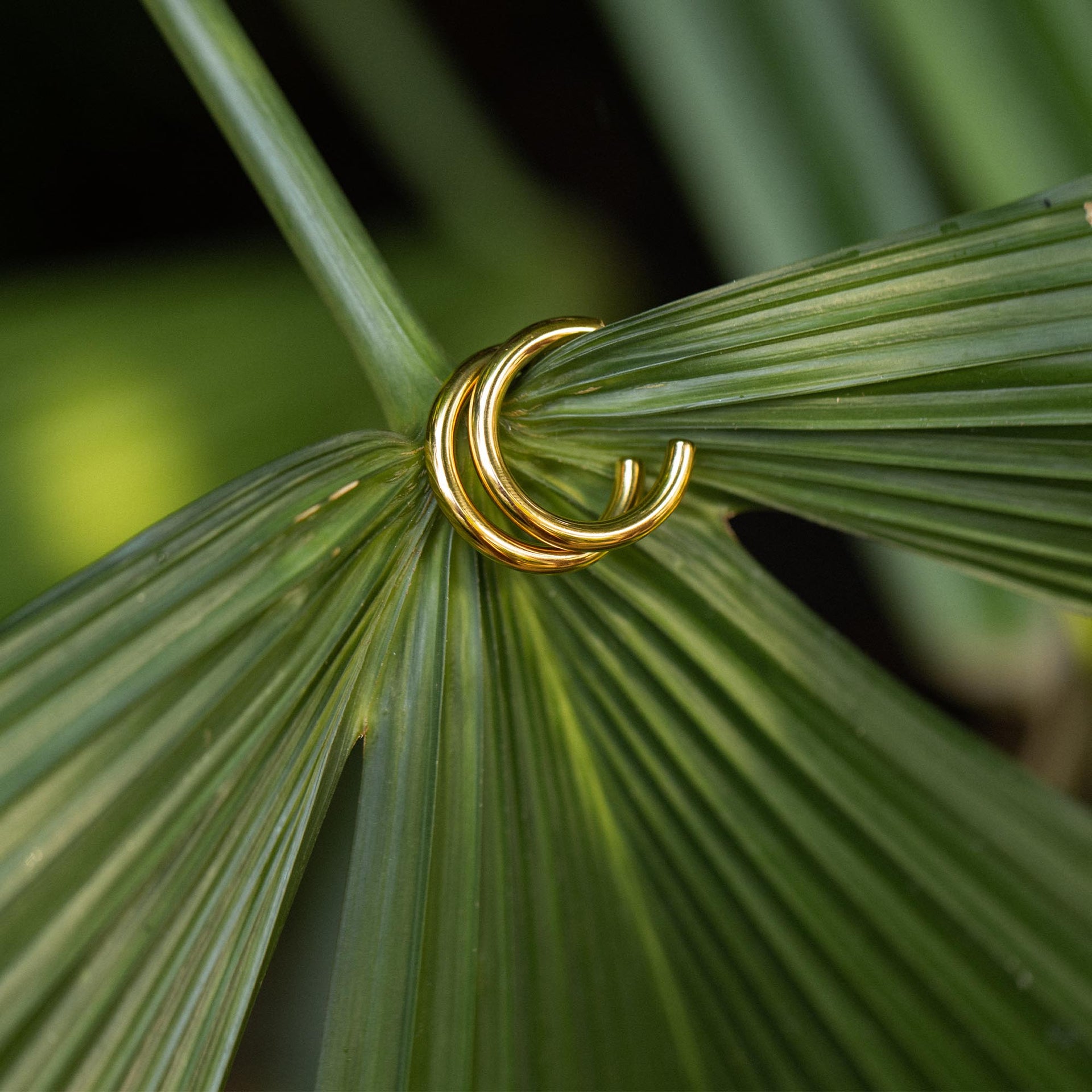 Boucles d'Oreilles Hoop Kumu O