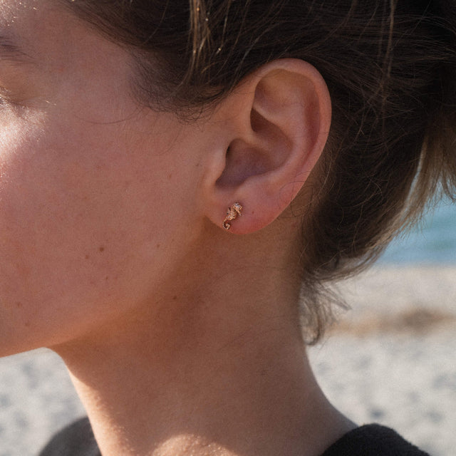 Boucles d'Oreilles Seahorse
