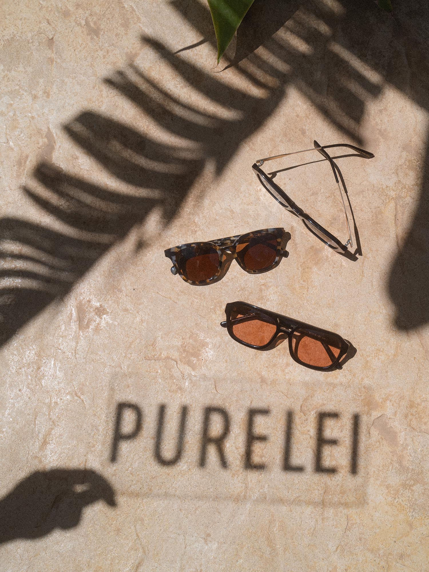 Coastal Core Sunglasses