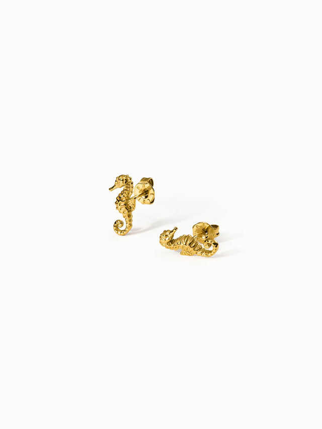 Boucles d'Oreilles Seahorse