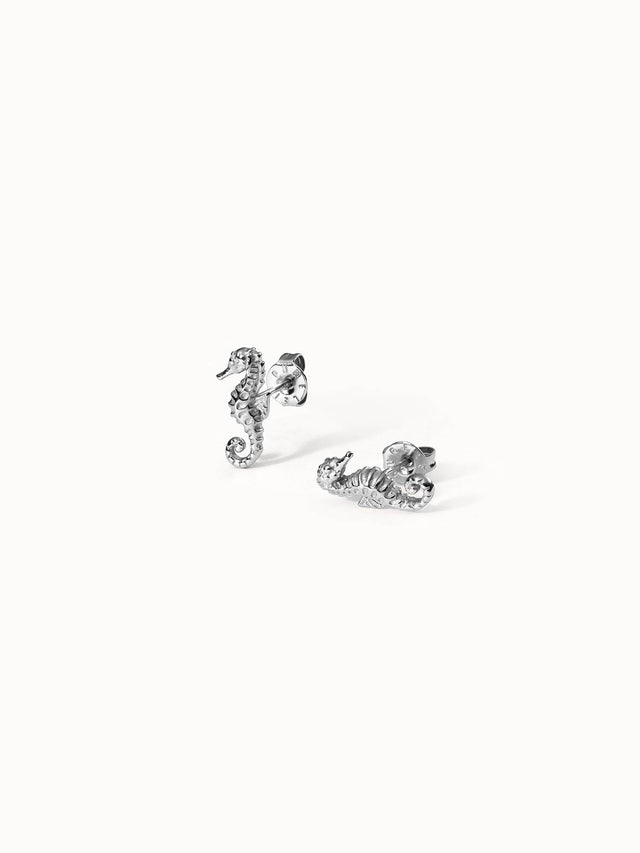 Boucles d'Oreilles Seahorse