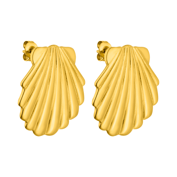 Boucles d'Oreilles Shell