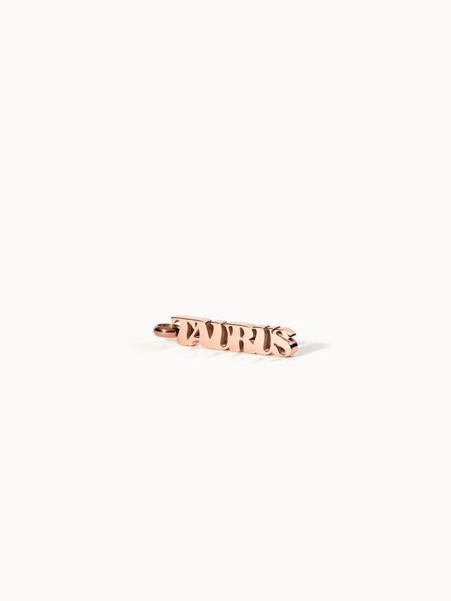 Charm Lettre Taurus