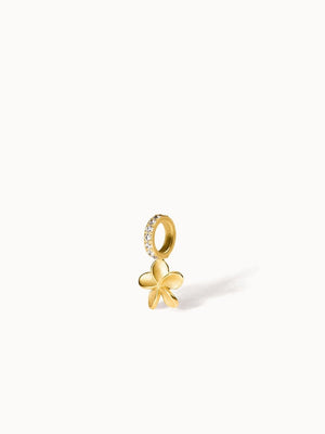 Empowher Charm - INT PURELEI
