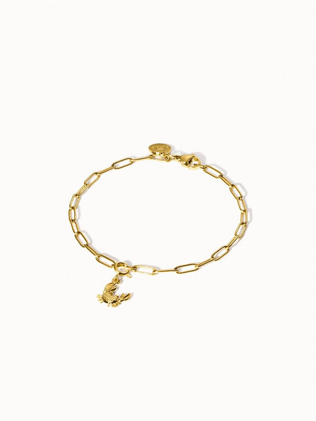 Flex Crab Charm - INT PURELEI