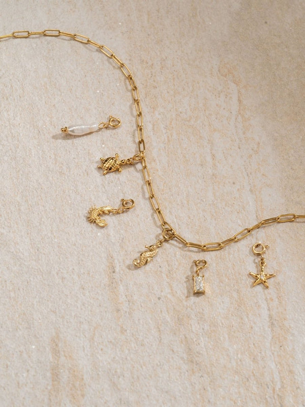 Flex Seastar Charm - INT PURELEI