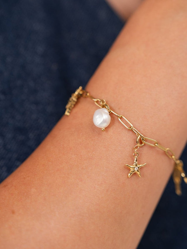 Flex Seastar Charm - INT PURELEI