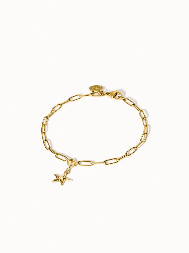 Flex Seastar Charm - INT PURELEI