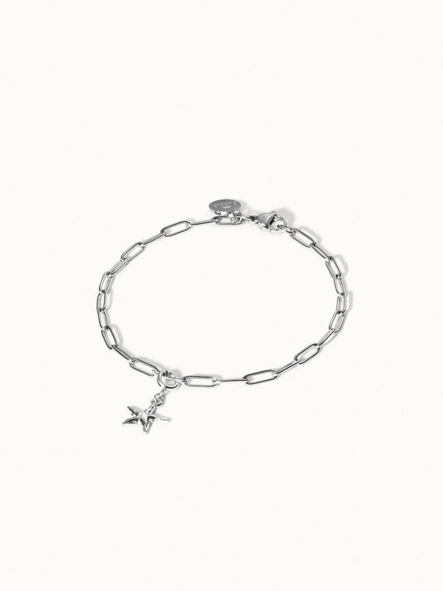Flex Seastar Charm - INT PURELEI