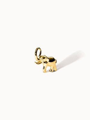 Flowing Strength Charm - INT PURELEI