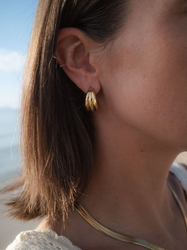 Fused Earrings - INT PURELEI