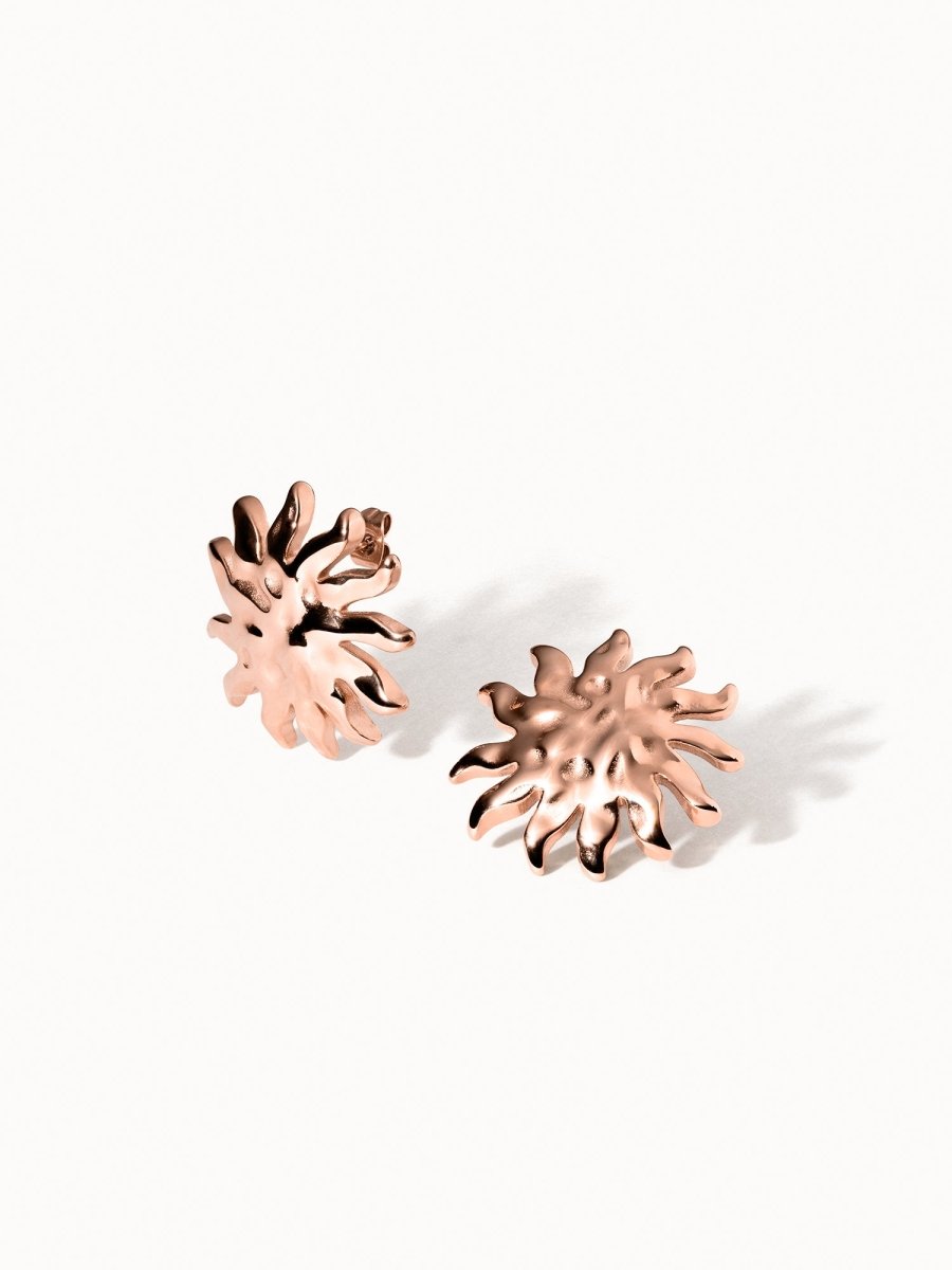 Iconic Sun Earrings - INT PURELEI