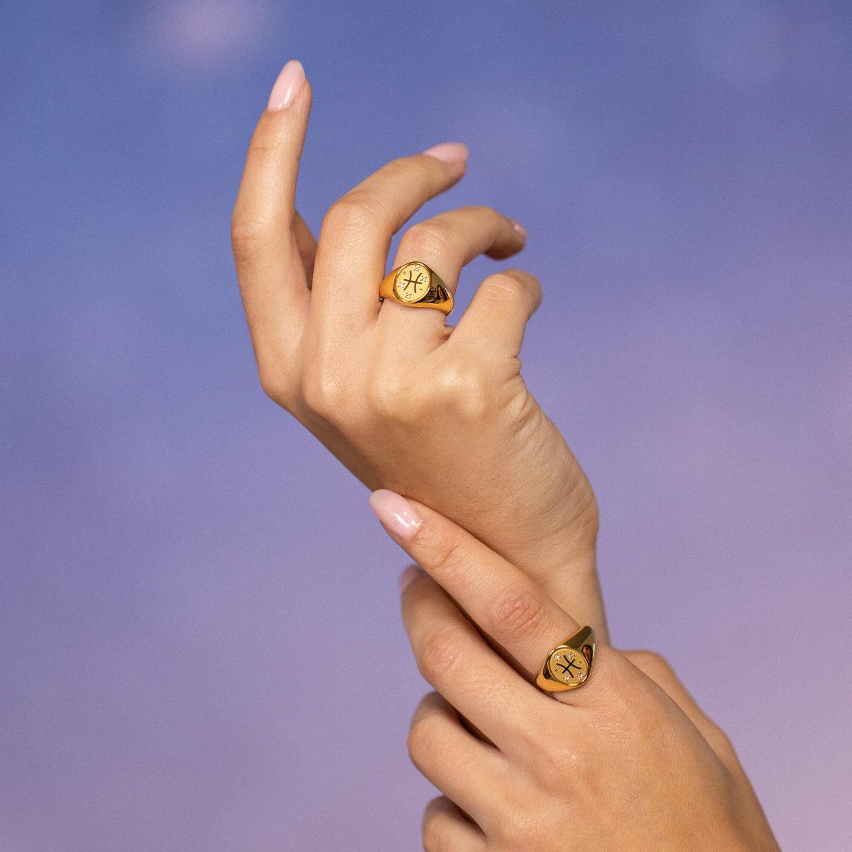 Pisces Zodiac Ring - INT PURELEI