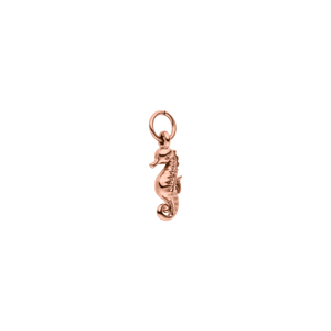 Seahorse Charm - INT PURELEI