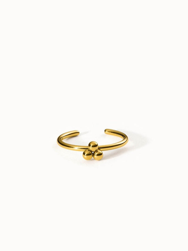 Seed Ring - INT PURELEI
