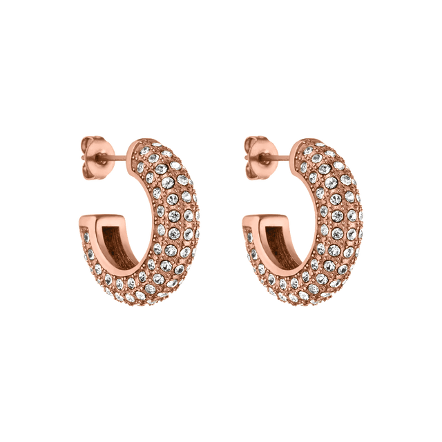 Boucles d'Oreilles Big Glitter