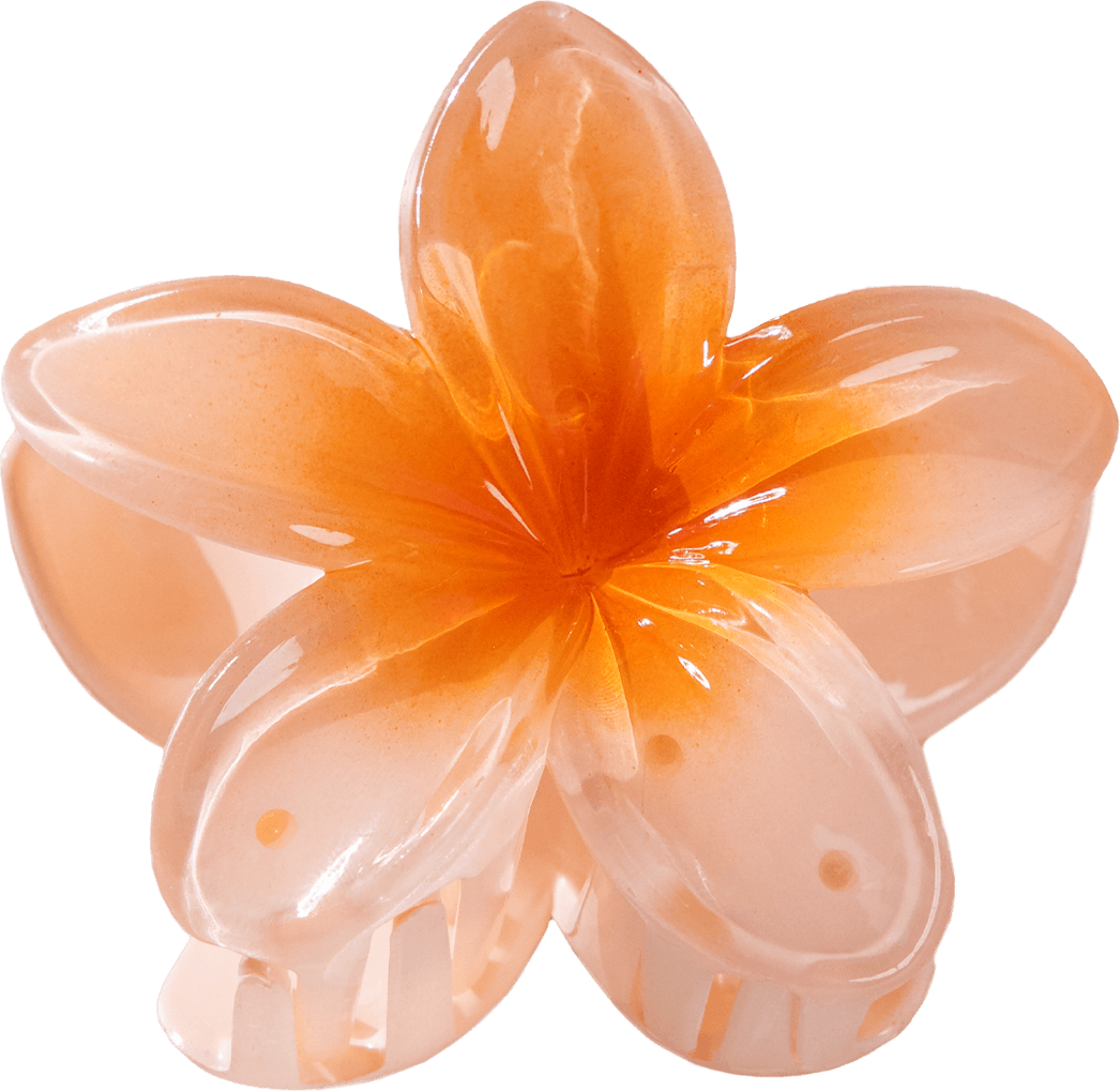 Barrette Lotus