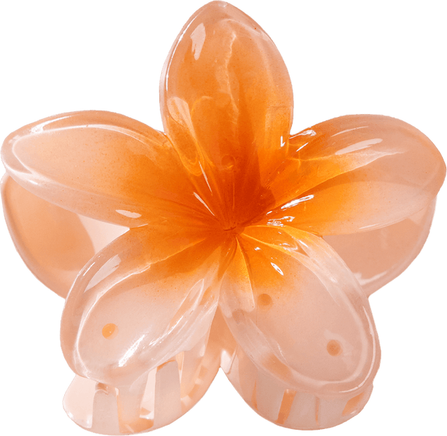 Barrette Lotus