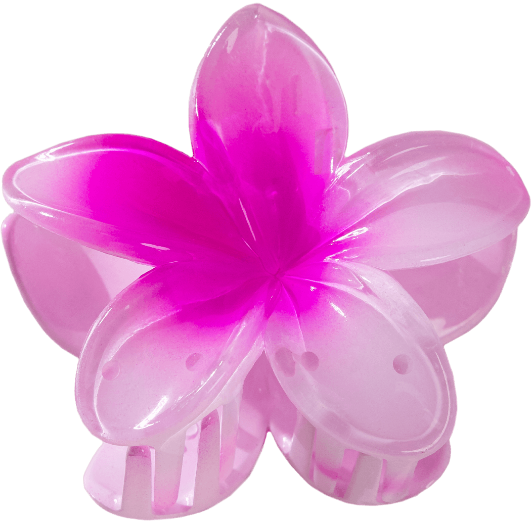 Barrette Lotus