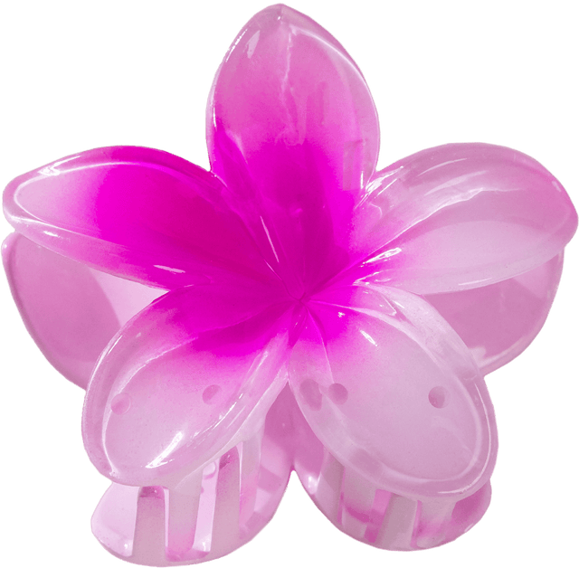 Barrette Lotus