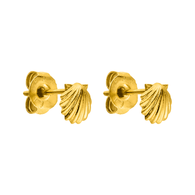 Boucle d'Oreille Enfant Shell