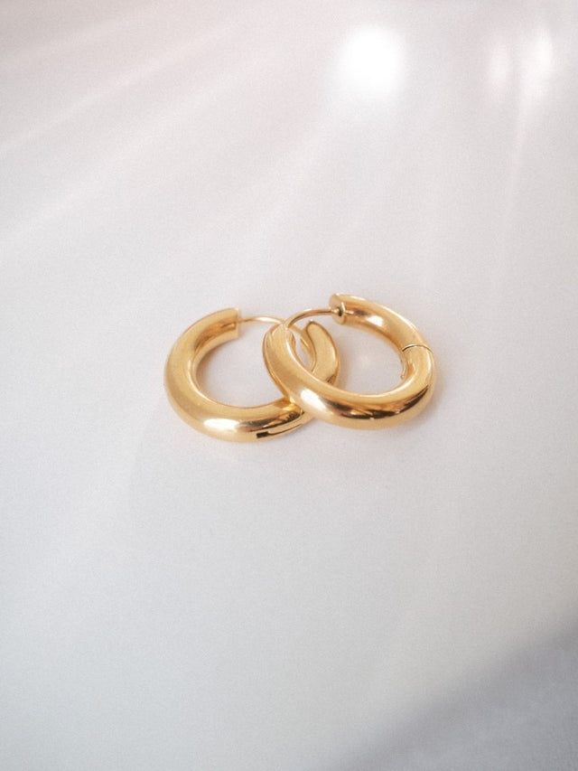 Small Glamorous Earrings - INT PURELEI